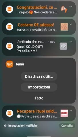 Disattiva Temu Notifiche1 818x1440