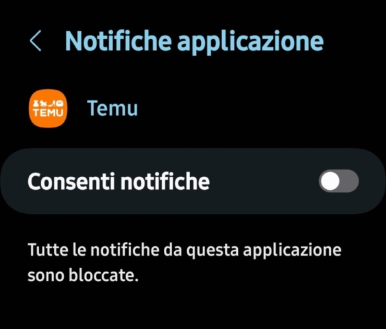 Disattiva Temu Notifiche2 960x818