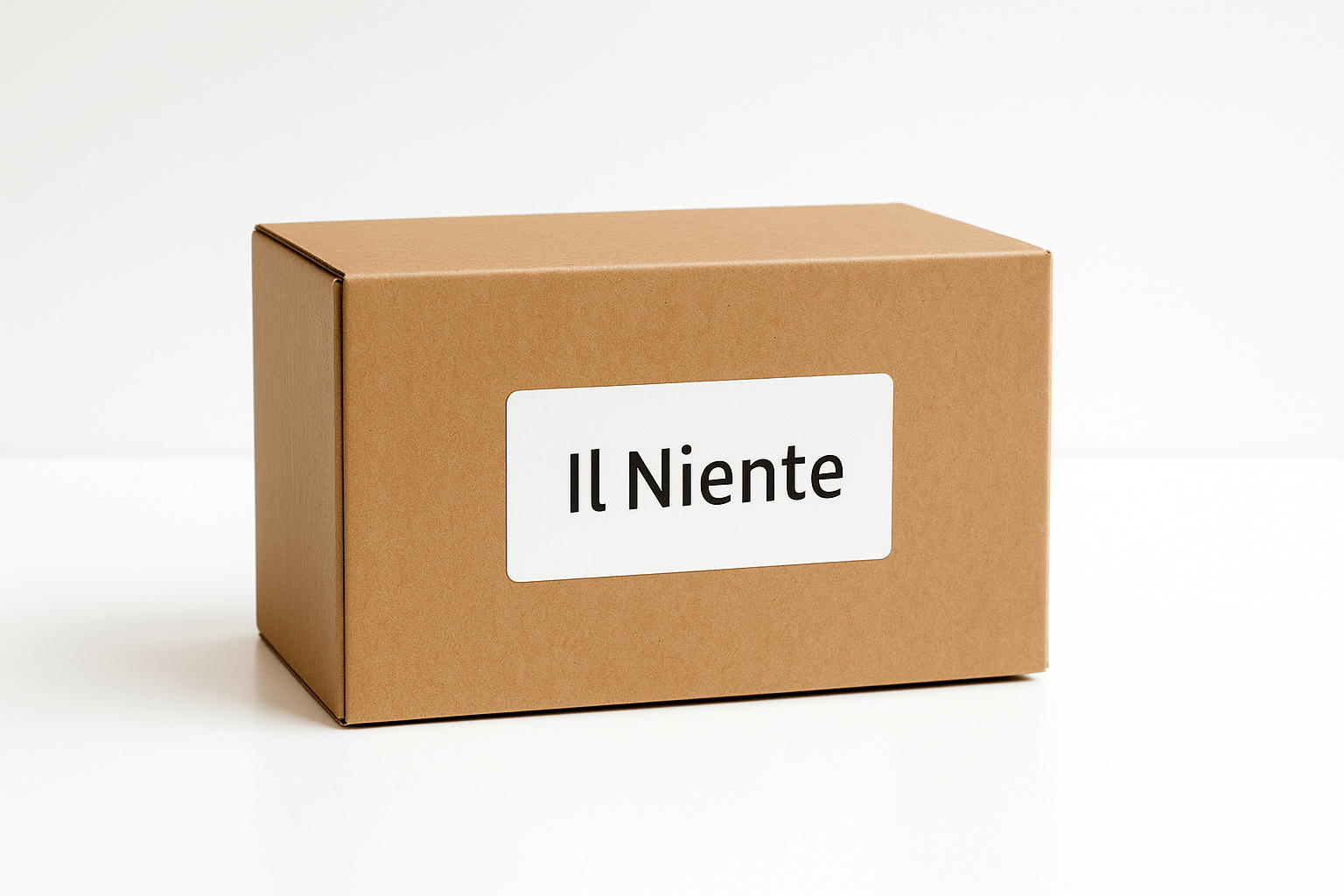 Gli oggetti inutili su Amazon (ma divertenti) – La Selezione Terrificante del 2025 36 Una semplice scatola di cartone marrone chiusa, con un'etichetta bianca minimalista che recita "Il Niente"